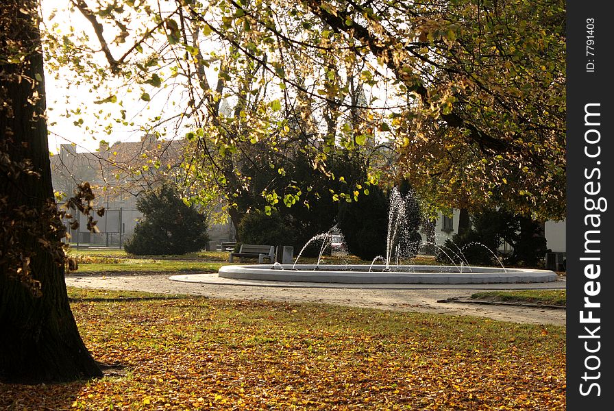 Beautiful autumnal look of a park.