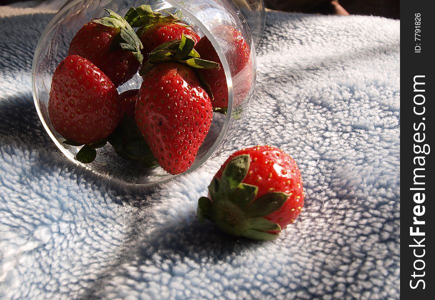 Red strawberries in glass cup on blanket.