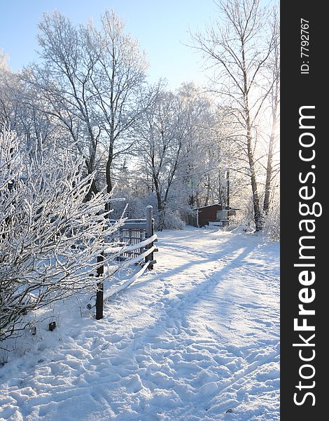 Beautiful white winter in forest. Beautiful white winter in forest