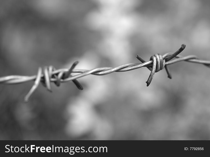 Image of barbwire sections with sharp thorns