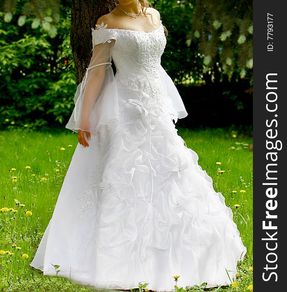 Bride in wedding dress outdoors. Bride in wedding dress outdoors