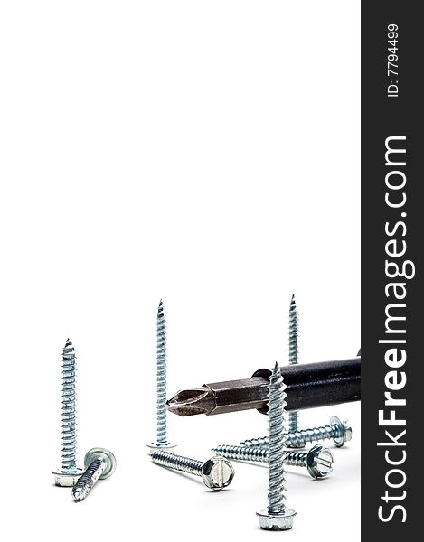 Vertical view of screws and a power screwdriver on white with space for copy