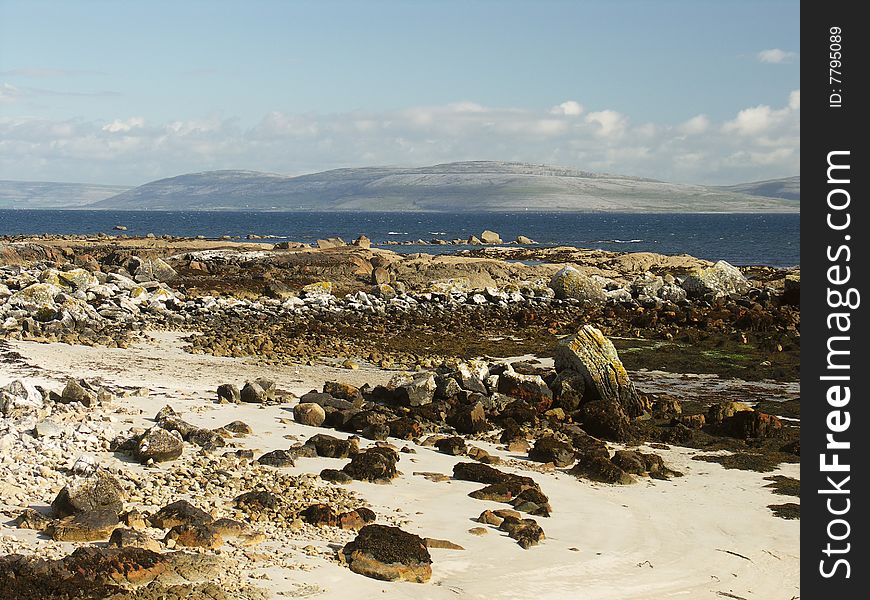 Wild Beach Landscape