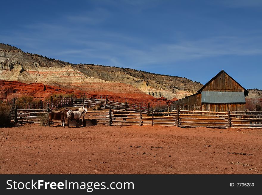 Desert farm with barn and horses and coral. Desert farm with barn and horses and coral