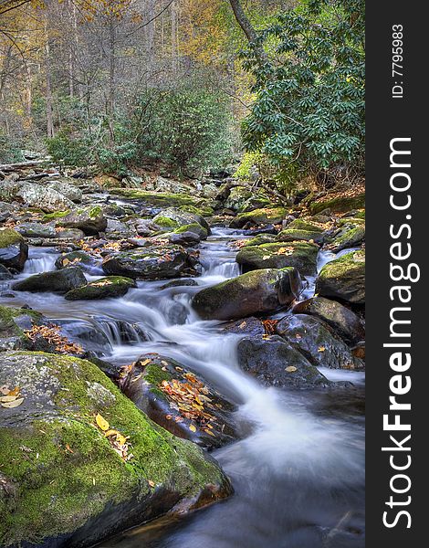 Beautiful mountain stream flowing through the forest during autumn.