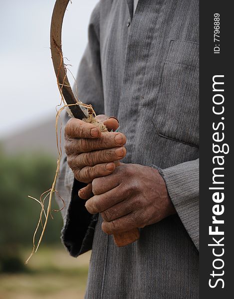 Close up of farmers hands holding a sickle. Close up of farmers hands holding a sickle