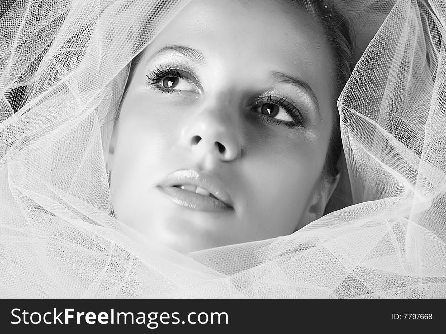 Portrait of young bride with veil around her face