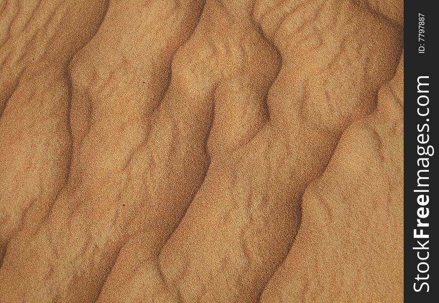 A close look at the texture of a sandy plain. A close look at the texture of a sandy plain