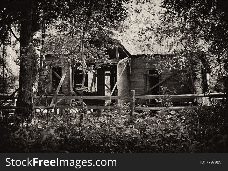 Old abandoned house in the woods in Florida