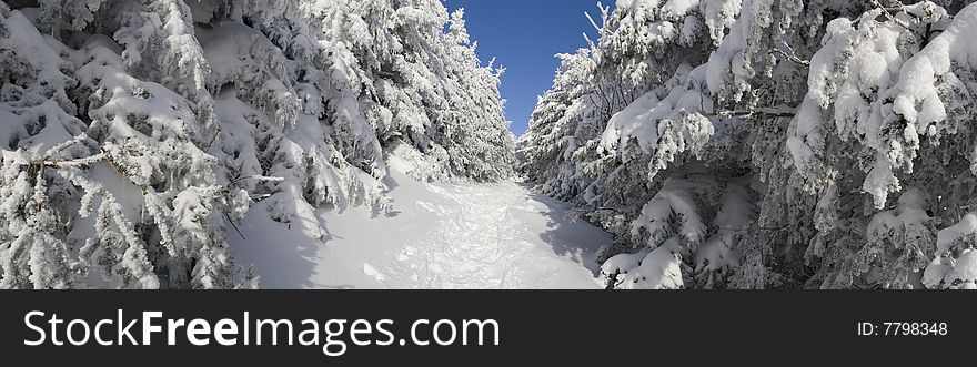 Frozen Aisle in a ski resort in Vermont