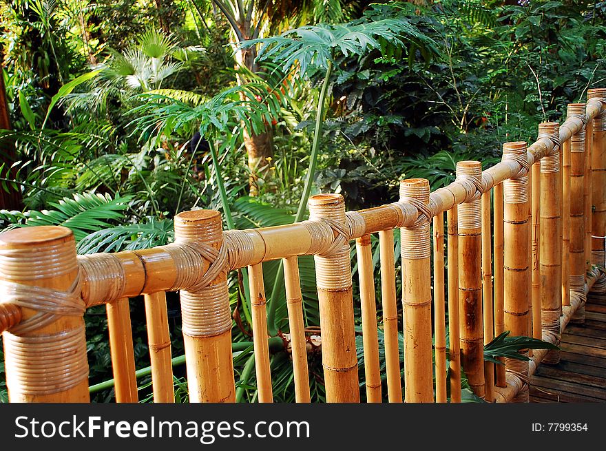 Bamboo fence in jungle garden setting