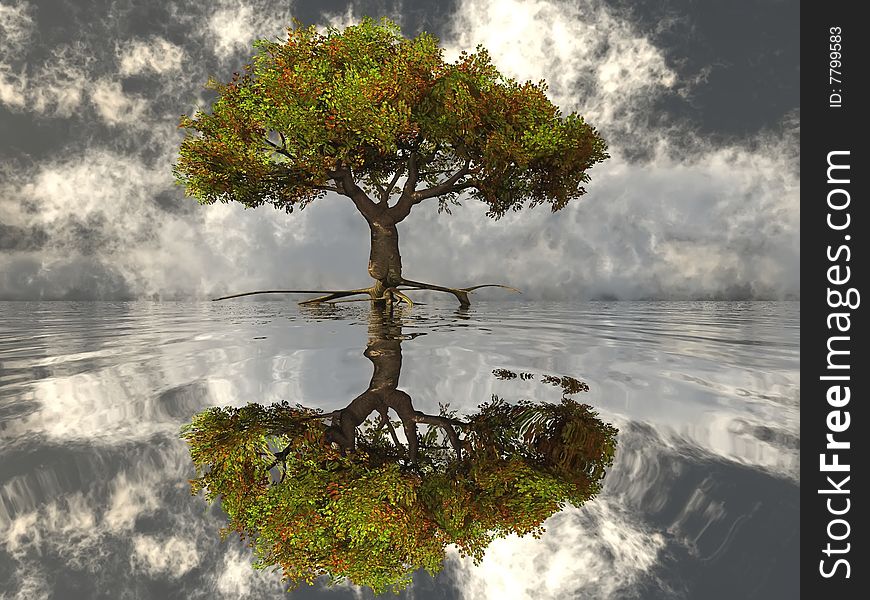 The tree in the water, the reflection of the solitude. The tree in the water, the reflection of the solitude