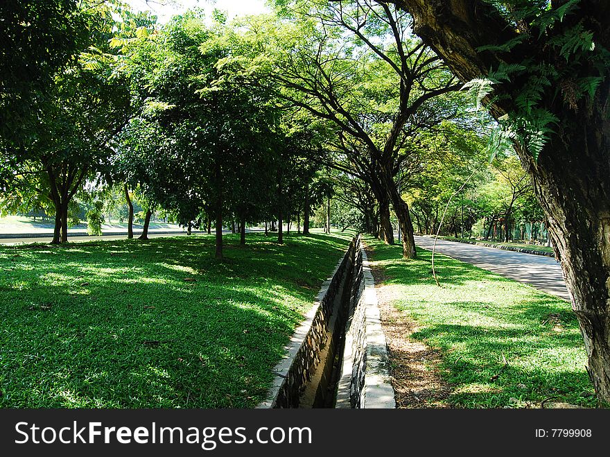 A scene of green field with many tree at shah alam malaysia
