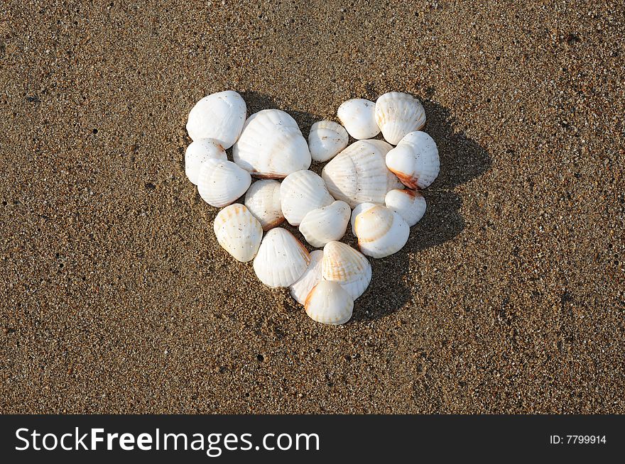 Heart made of white shells on the sea beach. Heart made of white shells on the sea beach.