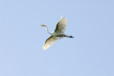 Flying Is Fun Stock Photography Flying Is Fun Stock Photography