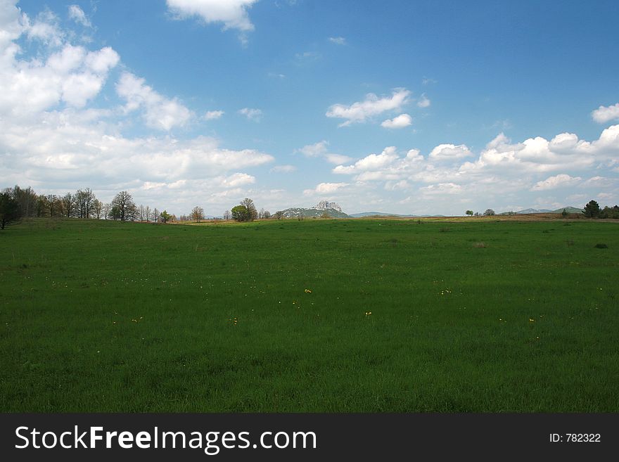 Springtime green landscape