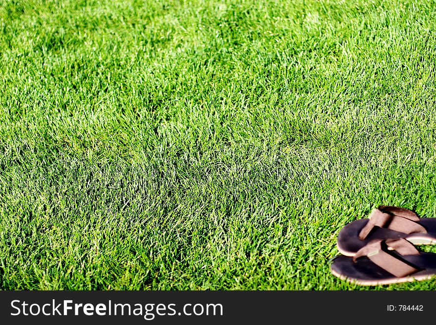 Sandals in grass