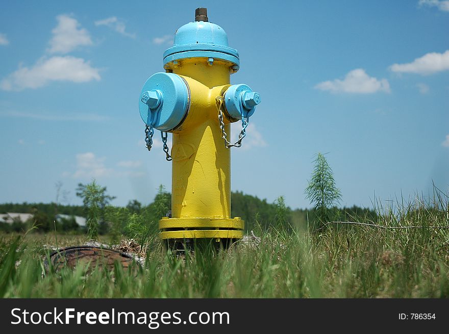 Colorful fireplug in Kissimmee, FL