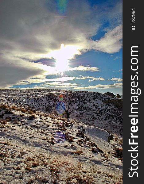 Winter Shot of Vineyard Valley in Cappadocia (Turkey)