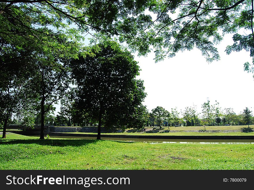 A scene of green field with many tree at shah alam malaysia