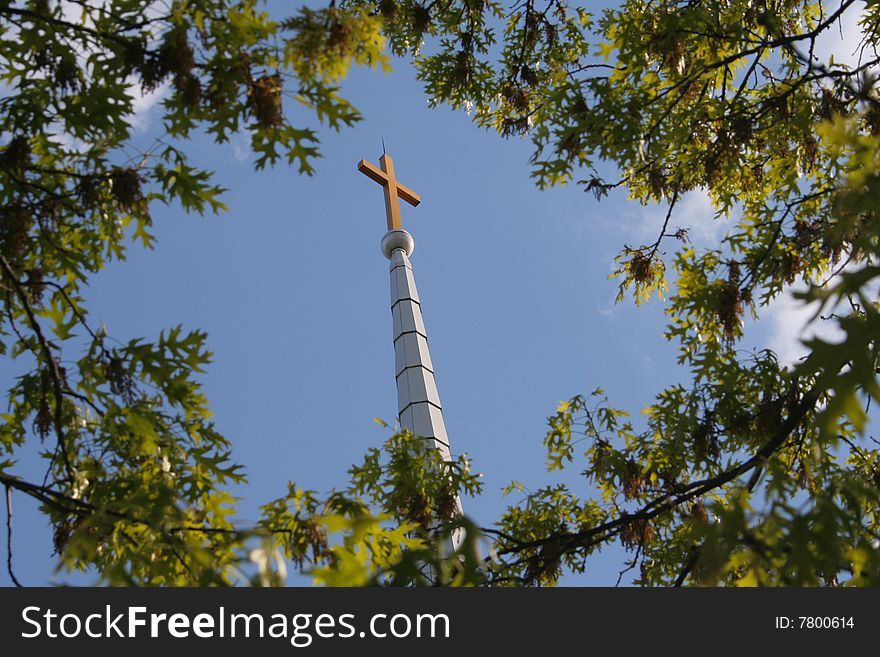 Cross on steeple framed by trees