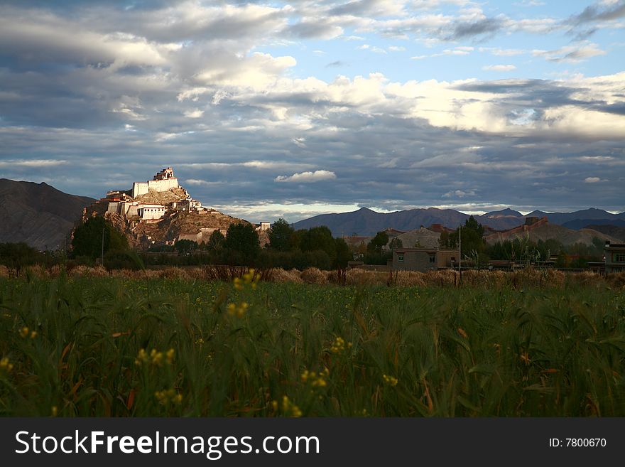 Tibet Castle In Morning Light