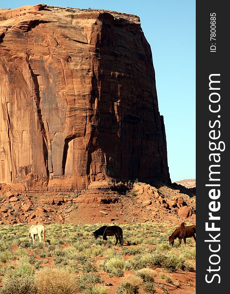 General landscape scene of Monument valley in Utah USA, showing buttes and desert with horses grazing. General landscape scene of Monument valley in Utah USA, showing buttes and desert with horses grazing