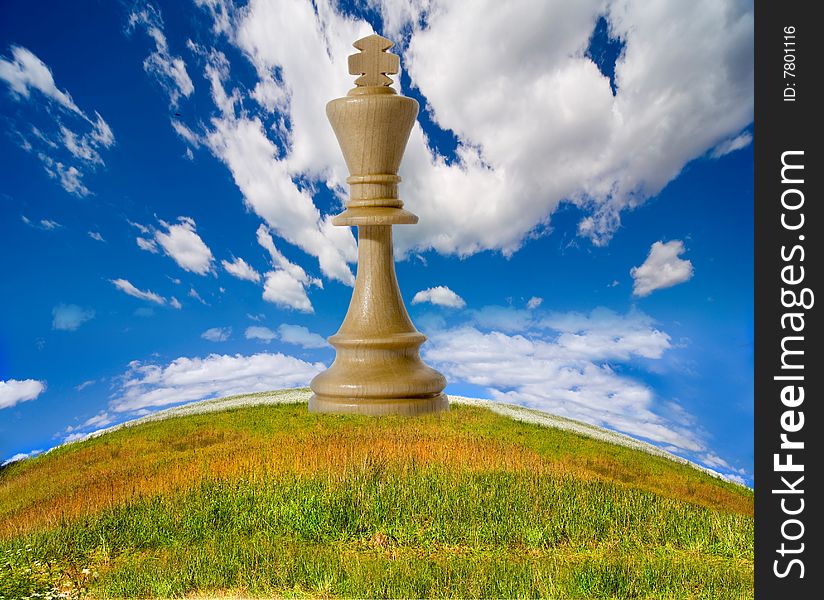 Chess composition on nature