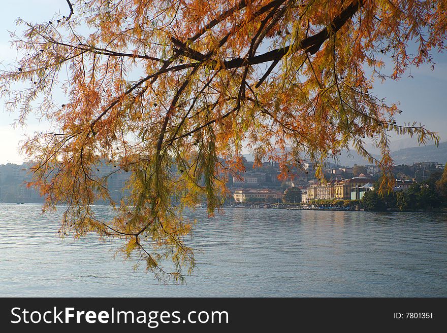 Tree branches over lake in fall scene
