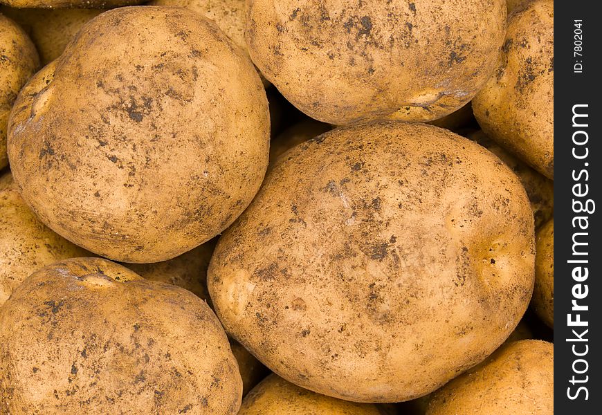 Crop of tubers of a potato. Crop of tubers of a potato