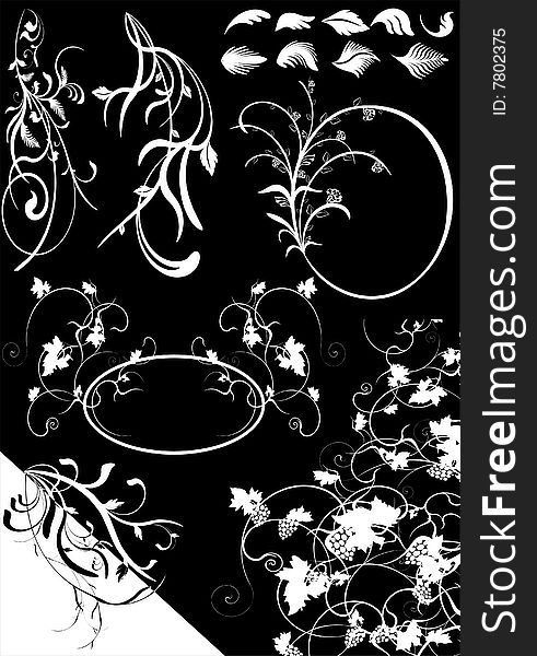 Set of floral design elements vector. Set of floral design elements vector