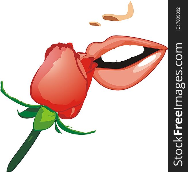 Red rose and female smile. Vector illustration