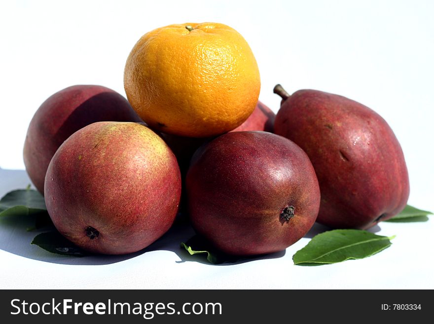 Fruits on the white background