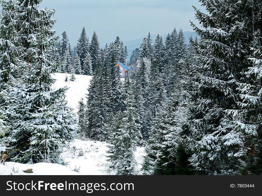 Stock photo: nature: an image of beautiful winter forest in the mountains