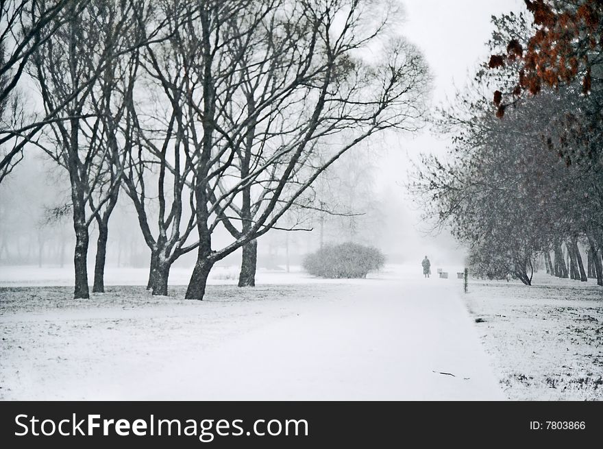 Heavy snowfalling in city park at daytime