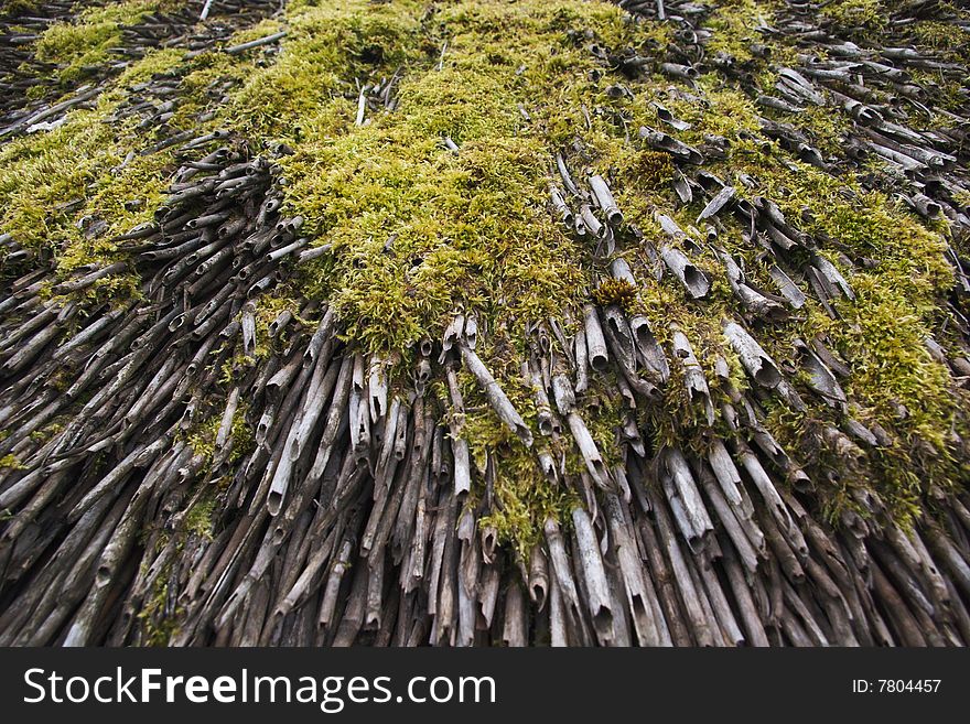 Mossy traditional  straw roof background. Mossy traditional  straw roof background