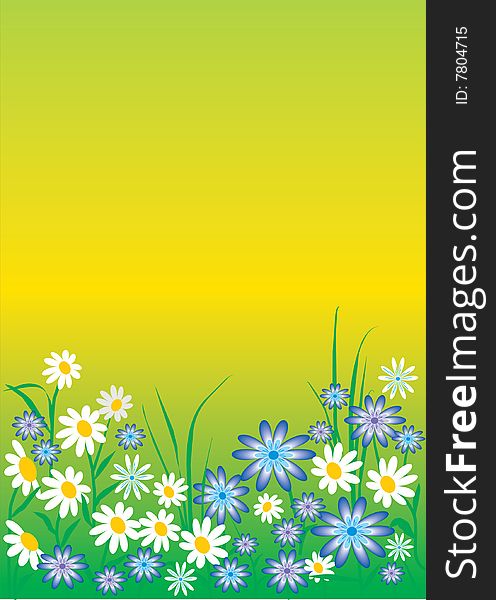 Spring flowers background with room for text. (flower, chamomile)