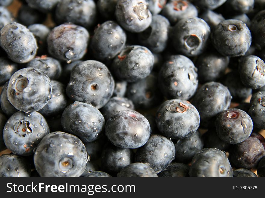 Wet fresh blueberry in box, selective focus