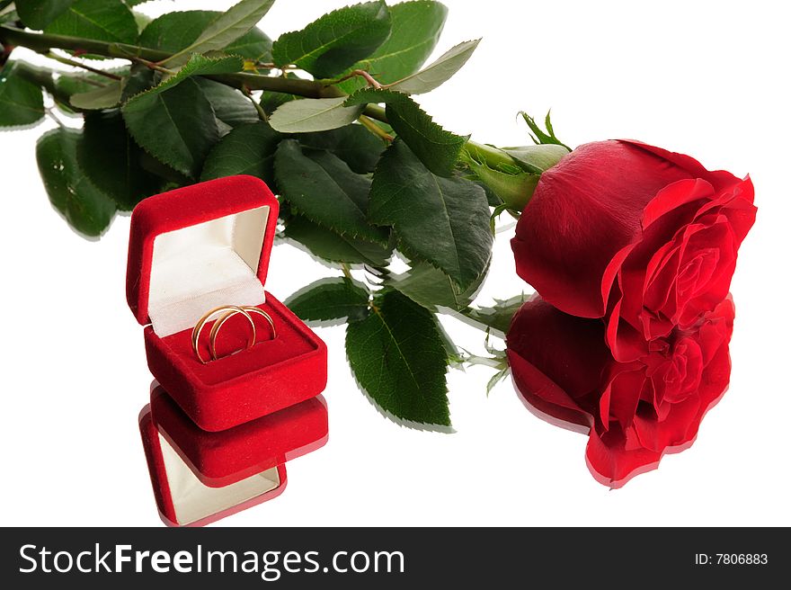 Red rose and wedding rings isolated on white