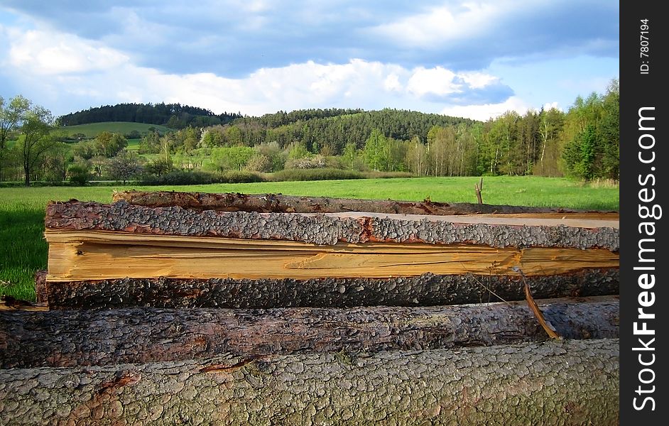 Landscape with Timber stock in foreground.