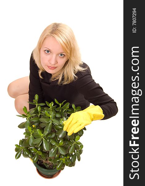 Young woman looking after her plant, isolated on white background. Young woman looking after her plant, isolated on white background