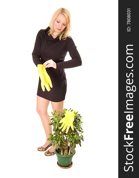 Young woman looking after her plant, isolated on white background. Young woman looking after her plant, isolated on white background