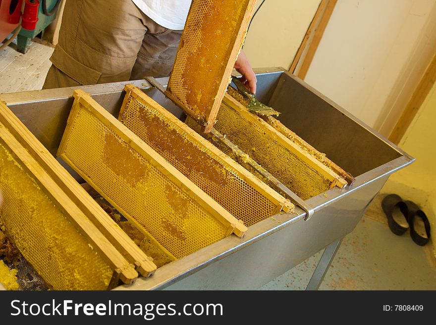 A view of trays from artificial beehives left in a huge metallic container for dripping honey out of them. A view of trays from artificial beehives left in a huge metallic container for dripping honey out of them