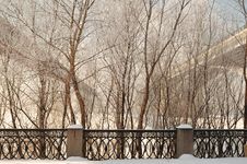 View Through The Trees On Two Bridges Stock Photography