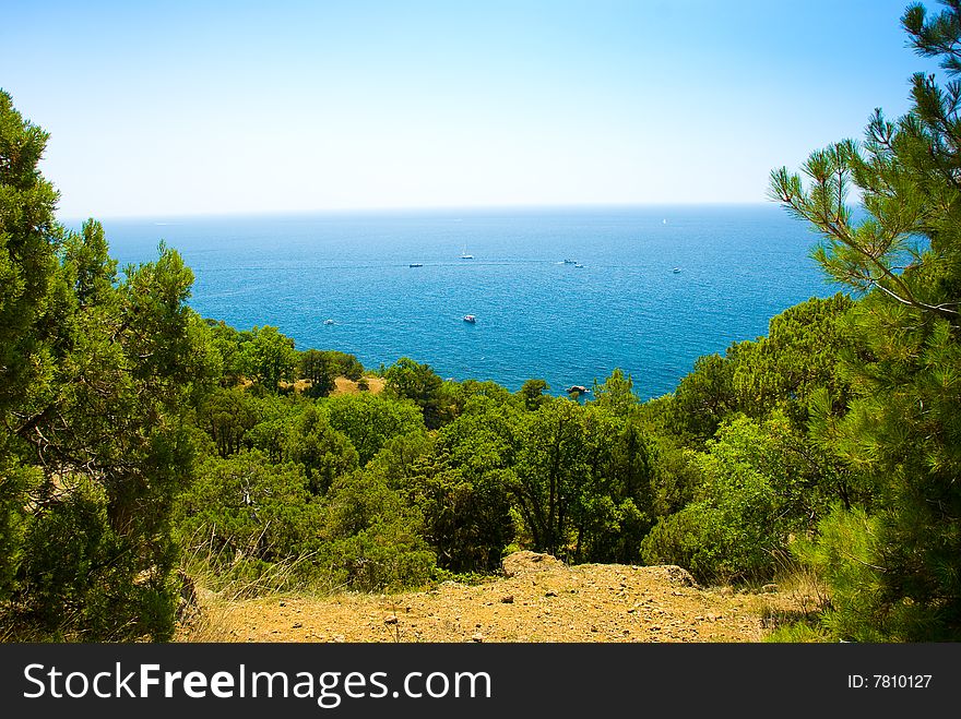 Sea coastline with a lot of boats in the water