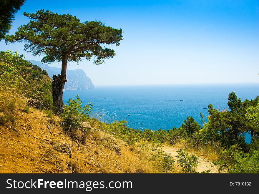 Black Sea coastline, Crimea, Ukraine