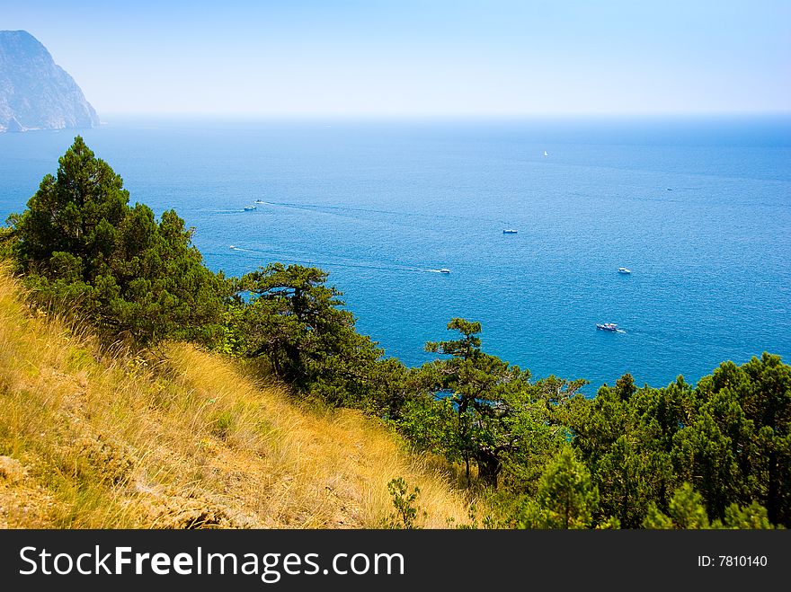 Sea coastline with a lot of boats in the water