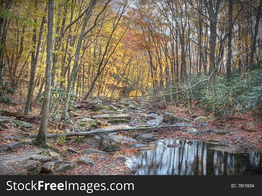 Mountains stream flowing through the forest with colorful autumn trees. Mountains stream flowing through the forest with colorful autumn trees.