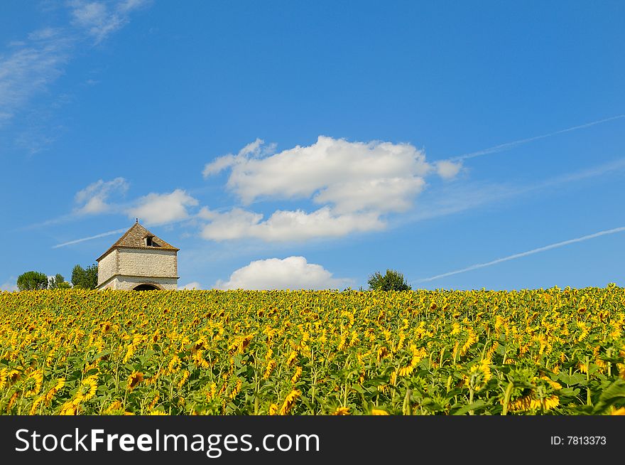 Sunflower and dovecote in French