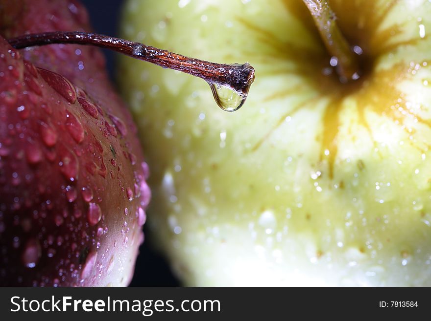 Close-up of two fresh apples with water-drops on dark background. Close-up of two fresh apples with water-drops on dark background